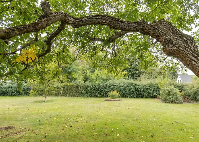 2 69 Qm شقة ميتنفالدة